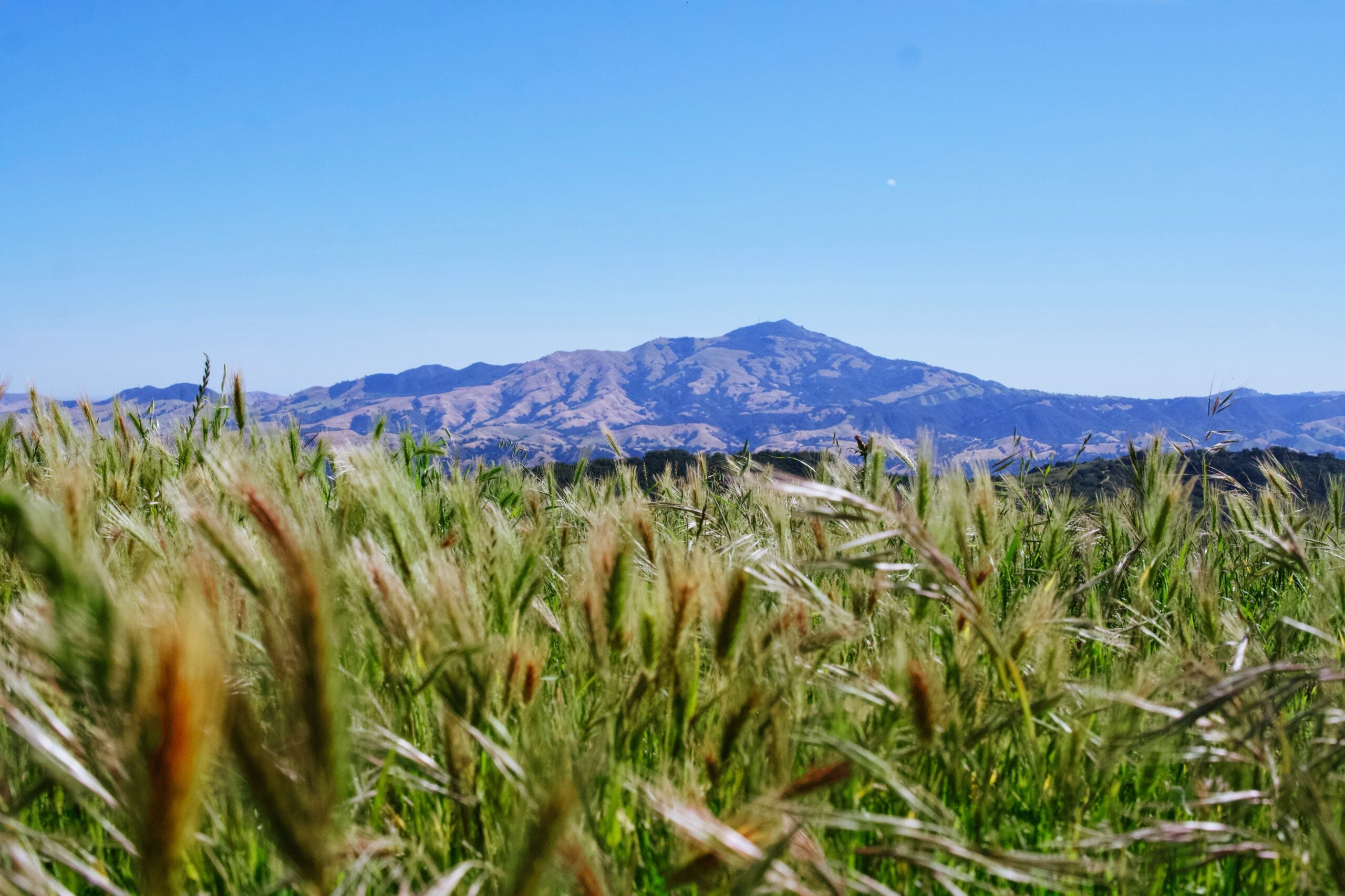 plains and mountains